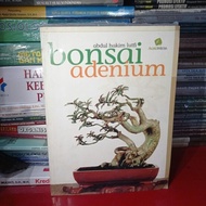 bonsai adenium berwarna original