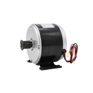 MY1016 250W 300W 12V 24V brushe brush motor  tricycles skateboards , DC gear