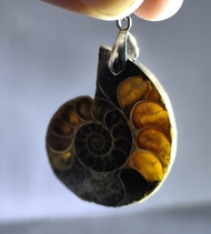 Semulajadi Fosil Ammonit Loket (3cm) / Natural Crystal Ammonite Fossil Pendant 天然水晶 斑彩螺 顺风螺吊坠