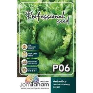 Lettuce-Iceberg Antartica P06 JT-P06