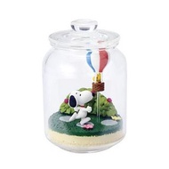 snoopy everyday terrarium