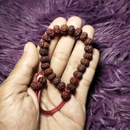 MERAH JENITRI RUDRAKSHA SEED BRACELET RED SEED HEALTH 9-11 MM