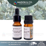 Maison &amp; Co. | 10ml Eucalyptus Pure Essential Oil Water Soluble Aroma Fragrance Oils Aromatherapy Diffuser Scent