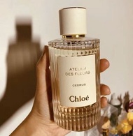 CHLOE 淡香精- Cedrus 北國雪松