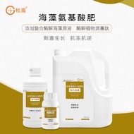 Dugao Amino Acid Water-Soluble Fertilizer Rush Fertilizer Genuine Seaweed Fertilizer Organic Fertili