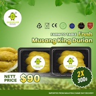 2 BOX | Premium SG Durian Musang King (MSW) 100% FRESH | Bitter-Sweet & Creamy | Same-Day Delivery.