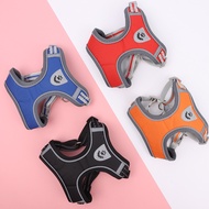 PP C9 Leash Collar For Pets Size Available BS