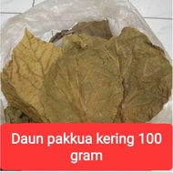 [READY] daun pa kua, pakkua, pakua, fat kwa kering 100 gram