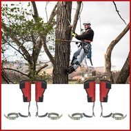 Tree Climbing Spikes Arborist Tree Climbing Gear and Equipment for Tree Work Tree Spike and Gloves T