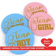 Gender Reveal Voting Poster Sticker Team Boy Team Girl Gender Reveal Box Gender Reveal Popper Baby S