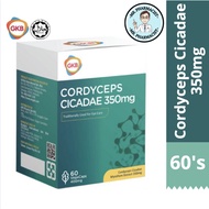 GKB Cordyceps Cicadae 350mg 虫草 金蝉花 Vegecap 60'S