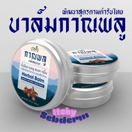 Itchy&Sebderm Herbal Balm สำหรับผื่นคัน/ผื่นคันแมลง/คัน สะเก็ดเงิน สมุนไพรไทย ไม่มีสารอันตราย แพคเดี