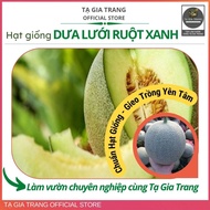 Green-fleshed cantaloupe seeds, easy to grow, large, sweet and fragrant fruit - Ta Gia Trang seed Sh