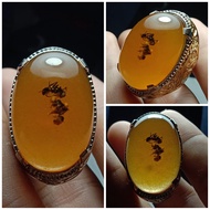 Cincin Batu Akik Katilayu Semut Di Dalam Gemstone