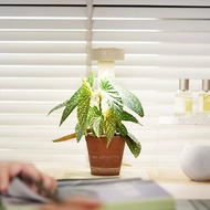 ONF MIST O+ app 植霧光 米 全光譜LED磁吸植物燈 室內植物