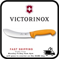 Premium Victorinox Swibo 7" / 18cm Skinning Knife / Pisau Lapah (5.8427.18) with Name Engraving Kitc