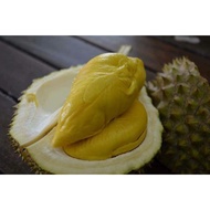 🔥Hot Sales🔥 Baja Pokok Durian 1000gram