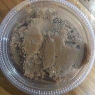 Chocolate Cloud Slime