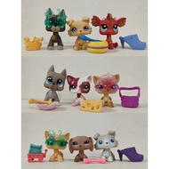 3pcs/lot LPS Toy Littlest Pet Shop Cat Dog Dragon #979 W/Accessories cute toy for Child Gift