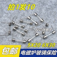 Induction Cooker Glass Fuse Tube Wire 5 * 20 15A 12A 12.5A 250V 6 * 30 with Lead Pin Induction