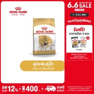 Royal Canin Pug Adult โรยัล คานิน อาหารเม็ดสุนัขโต พันธุ์ปั๊ก อายุ 10 เดือนขึ้นไป (กดเลือกขนาดได้, Dry Dog Food)