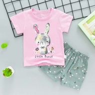 Comfy Casual / Little Bunny children's suits / baby clothes / baby suits / small children's clothes