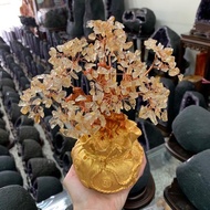 天然黃水晶錢袋招財樹，中款開運水晶擺件，可搭配晶洞聚寶盆，招財納福，提升居家辦公室風水 1個 中款 天然黃水晶錢袋招財樹 一入