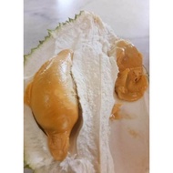 POKOK DURIAN D13 GOLDEN BUN(The Unsung Heroes) 1 pokok