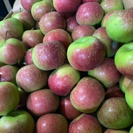 buah apel malang|buah apel malang batu segar|buah apel|1kg