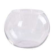 Peralatan hidroponik, pasu, tangki ikan, monstera, tanaman hidroponik buluh, bekas botol kaca kaca, 