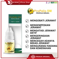 Propolis SM Herbal Spot Treatment for Acne and Acne Scars