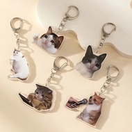 Acrylic Keychain New Cute Cat Keychain Crying Cat Keychain Upset Cat Pendant Keychain