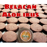 Belacan Alor IBus ORIGINAL...