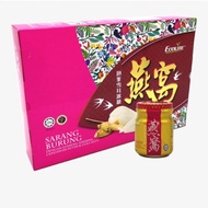 Ecolite Bird's Nest Ginseng