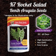 [Small Pack] K7 Benih Salad Rocket Arugula Soon Huat Seeds