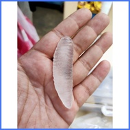 ◆ ◹ ✌ Mutya ng Linta Clear with oracion