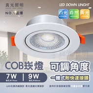 LED 7W 9W Candle Light COB Adjustable Angle COB Candle Light Candle Hole 7cm Candle Hole 9cm