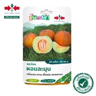 80Biji Benih Timun Betik  Bulat/Cantaloupe Seed / Musk Melon Seed / Timun Suri / East West Seed / Ca