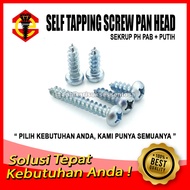 (100 PCS) PH 8x3" Screws Self Tapping Screw P+AB (7.5 CM)