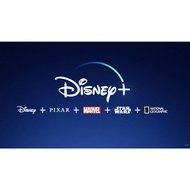 Disney Plus+ 90 Month Subscription