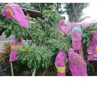 10 sheets of used longan sacks, onion sacks, longan sacks