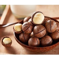 05kg mắc ca sấy Daklak nguyên vỏ đã tách nứt dòn béo nhiều dinh dưỡng Daklak à