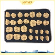 Fake Teeth- Resin Teeth Kit Temporary Fixing the Missing Teeth TeachingCosmetic Teeth for Halloween 