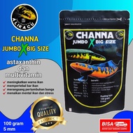 CHANNA JUMBO | makanan ikan channa maru yellow sentarum | red santarum | ikan toman | ikan 5mm jumbo