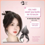 Biva real hair baldness cover, DS net baldness cover wig 2 clips 4x6cm