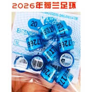2026 Netherlands NL Foreign Ring Germany DV 2025 Foot Ring Belgium Believe Pigeon Foot Ring BE