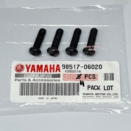 Yamaha Y110 SS2 Skru Reedvalve Original Japan (98507-06020@98517-06020)