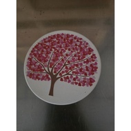 Diatomite Water Absorbant Coaster