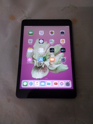 iPad mini 2