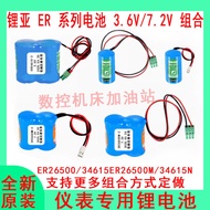 Cangnan Instruments Turbo Street Swirl Waist Wheel Flow Meter ER26500M/34615/3.6V/7.2V Dedicated